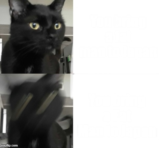 High Quality JMA’s roommates cat Blank Meme Template