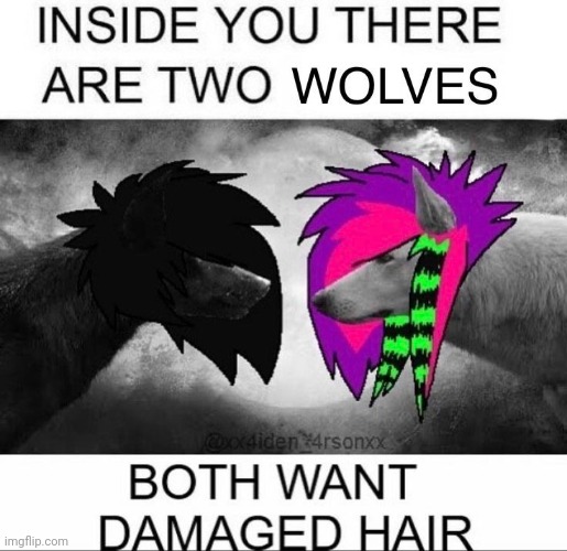 I'm the right one fr.. | made w/ Imgflip meme maker