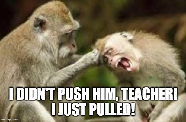 Monkey Pulling Hair | I DIDN'T PUSH HIM, TEACHER!
I JUST PULLED! | image tagged in monkey pulling hair | made w/ Imgflip meme maker