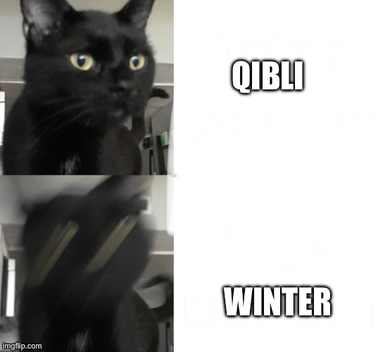 JMA’s roommates cat | QIBLI; WINTER | image tagged in jma s roommates cat,wof | made w/ Imgflip meme maker