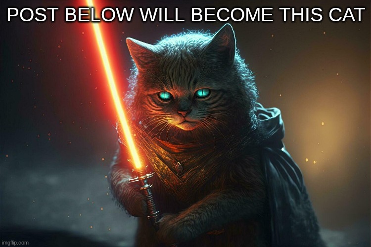 star wars cat | POST BELOW WILL BECOME THIS CAT | image tagged in star wars cat | made w/ Imgflip meme maker