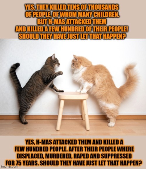 This #lolcat wonders if one side can be more 'right' than the other | image tagged in lolcat,israel,palestine,war,murder | made w/ Imgflip meme maker