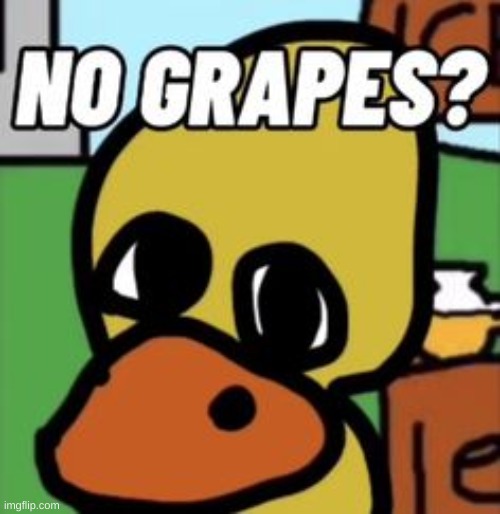 no grapes? | image tagged in no grapes | made w/ Imgflip meme maker