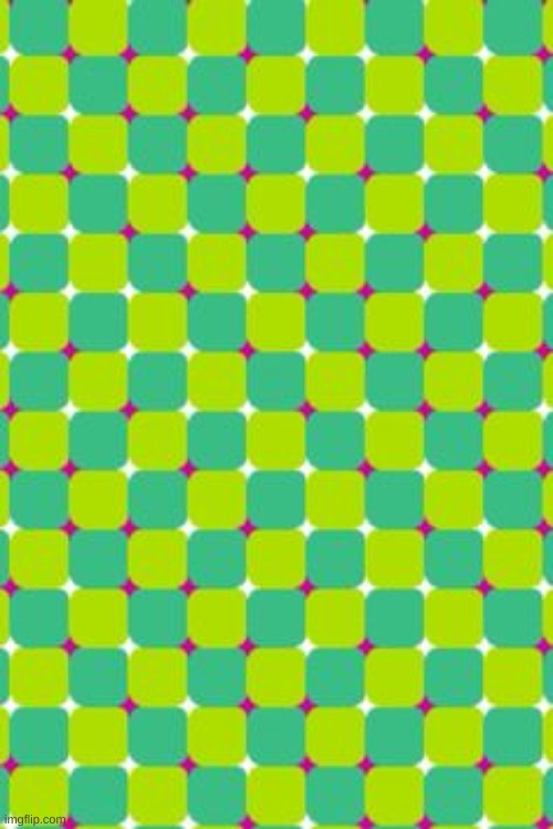 can you see it? | image tagged in can you see it | made w/ Imgflip meme maker