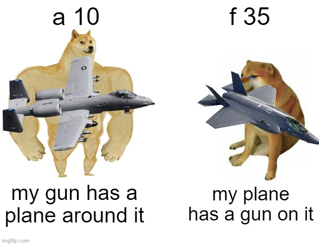 its just how it is | a 10; f 35; my gun has a plane around it; my plane has a gun on it | image tagged in memes,buff doge vs cheems | made w/ Imgflip meme maker
