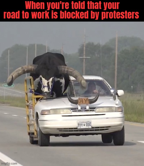 When you're told that your road to work is blocked by protesters | image tagged in funny,funny picture | made w/ Imgflip meme maker