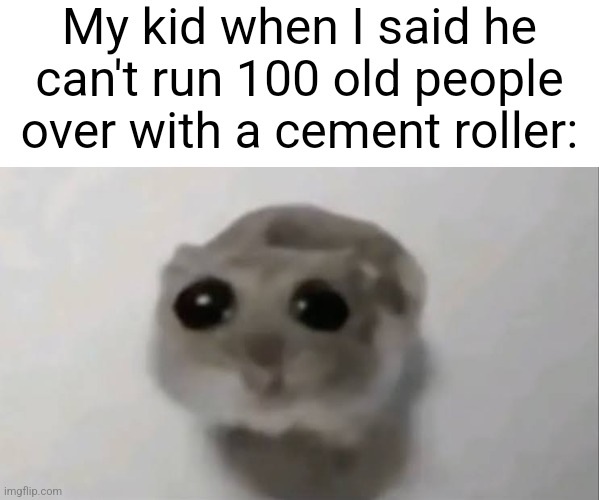 Sad noises | My kid when I said he can't run 100 old people over with a cement roller: | image tagged in sad hamster,memes,sad noises | made w/ Imgflip meme maker