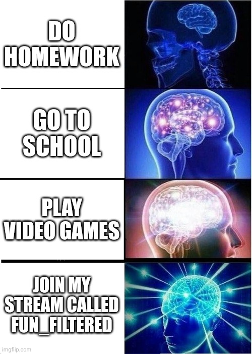 Expanding Brain Meme | DO HOMEWORK; GO TO SCHOOL; PLAY VIDEO GAMES; JOIN MY STREAM CALLED FUN_FILTERED | image tagged in memes,expanding brain | made w/ Imgflip meme maker