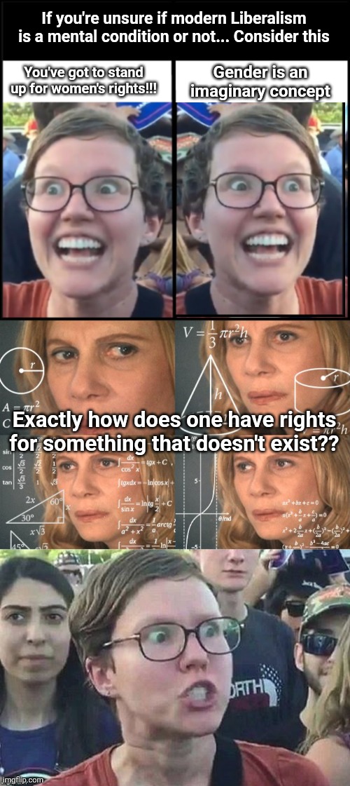 If you're unsure if modern Liberalism is a mental condition or not... Consider this; Gender is an imaginary concept; You've got to stand up for women's rights!!! Exactly how does one have rights for something that doesn't exist?? | image tagged in when liberal woman hears,calculating meme,meme angry woman | made w/ Imgflip meme maker
