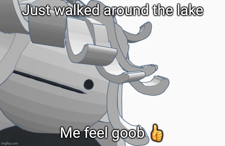 Bwomp | Just walked around the lake; Me feel goob 👍 | image tagged in bwomp | made w/ Imgflip meme maker