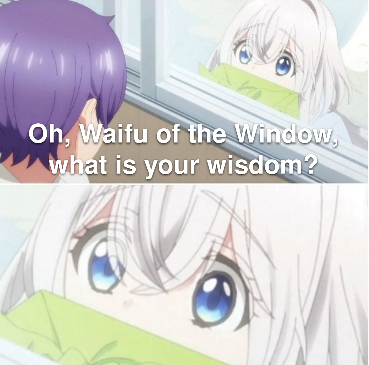 High Quality Waifu of the Window Blank Meme Template