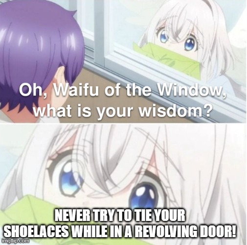 Excellent Wisdom from a Waifu! | NEVER TRY TO TIE YOUR SHOELACES WHILE IN A REVOLVING DOOR! | image tagged in waifu of the window,wisdom waifu,revolving door,good tip,lol | made w/ Imgflip meme maker