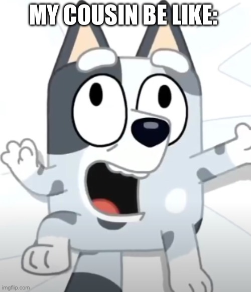 It’s true | MY COUSIN BE LIKE: | image tagged in crazy muffin bluey | made w/ Imgflip meme maker