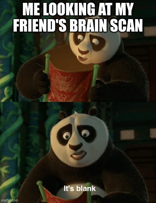 No brain | ME LOOKING AT MY FRIEND'S BRAIN SCAN | image tagged in kung fu panda blank | made w/ Imgflip meme maker