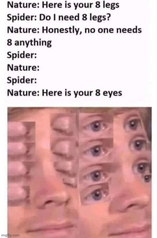 Spider nature | image tagged in nature,spider,reposts,repost,memes,legs | made w/ Imgflip meme maker