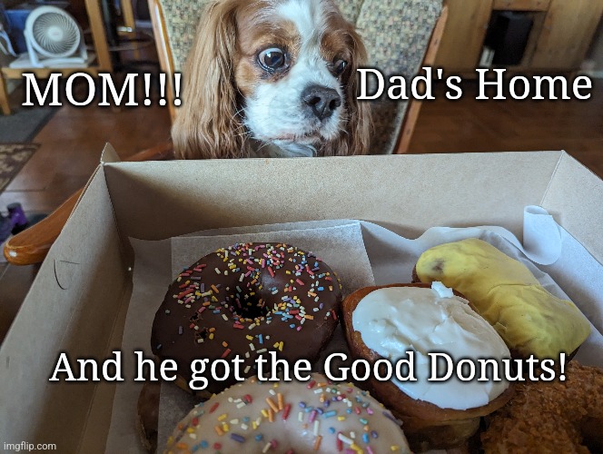 Good donuts! | Dad's Home; MOM!!! And he got the Good Donuts! | image tagged in dad's home,good donuts,cavvie | made w/ Imgflip meme maker