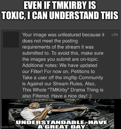 Understandable | EVEN IF TMKIRBY IS TOXIC, I CAN UNDERSTAND THIS | image tagged in oh wow are you actually reading these tags | made w/ Imgflip meme maker