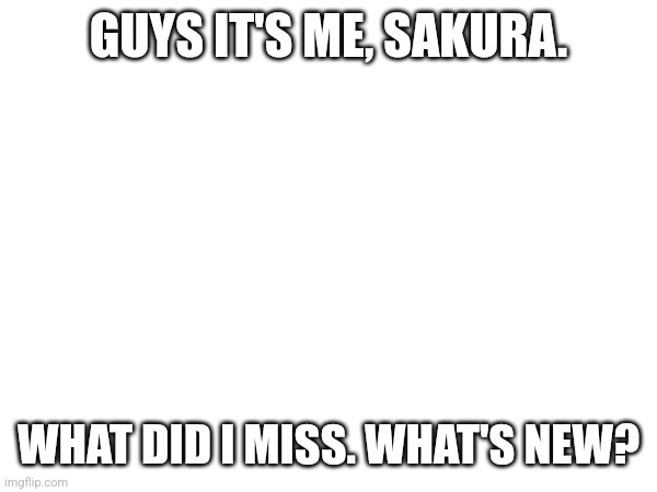 GUYS IT'S ME, SAKURA. WHAT DID I MISS. WHAT'S NEW? | made w/ Imgflip meme maker