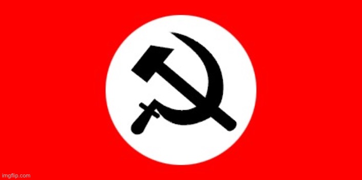 National Bolshevik Party of Russia | image tagged in national bolshevik party of russia | made w/ Imgflip meme maker