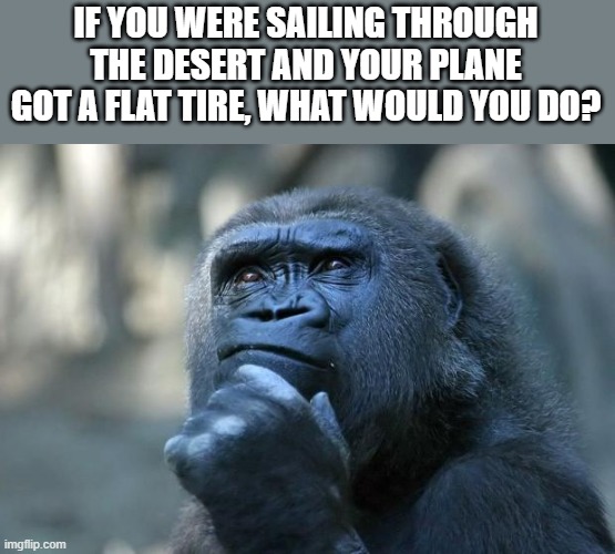 Deep Thoughts | IF YOU WERE SAILING THROUGH THE DESERT AND YOUR PLANE GOT A FLAT TIRE, WHAT WOULD YOU DO? | image tagged in deep thoughts | made w/ Imgflip meme maker