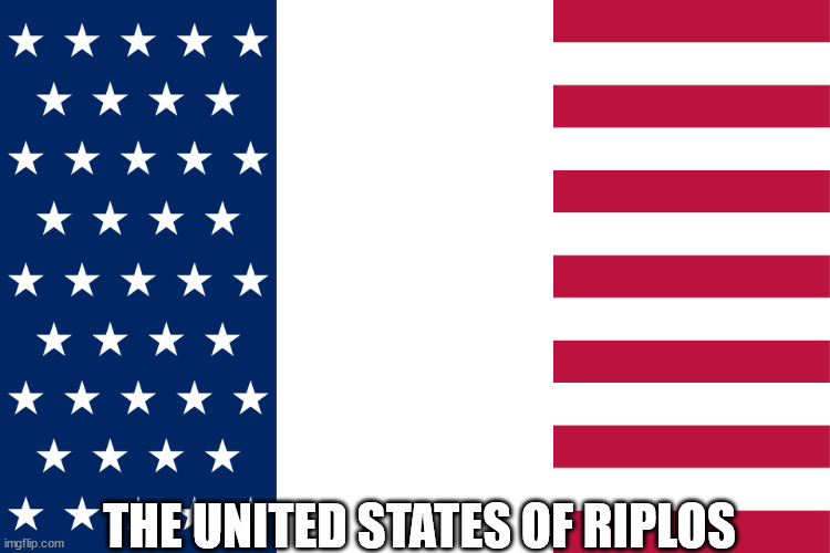 *Not united, untied | THE UNITED STATES OF RIPLOS | image tagged in french us flag | made w/ Imgflip meme maker