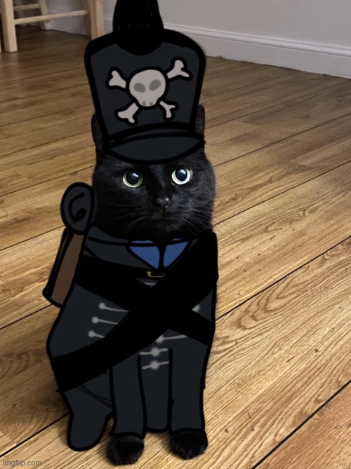 Day one of cats in Guts and Blackpowder uniforms | image tagged in cats,gutsandblackpowder,memes,roblox | made w/ Imgflip meme maker