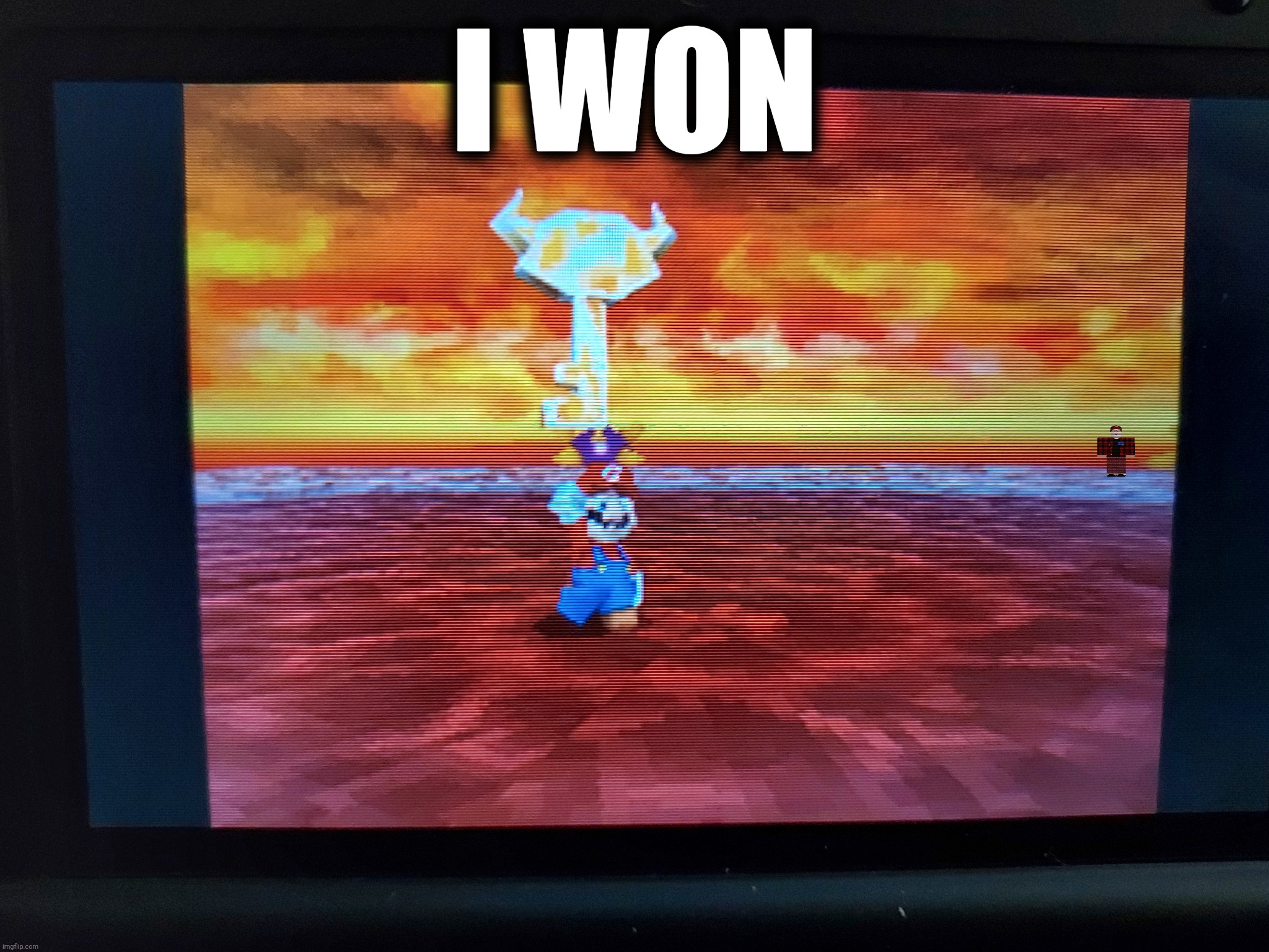 I WON | image tagged in sm64,sm64ds,roblox,rfg | made w/ Imgflip meme maker