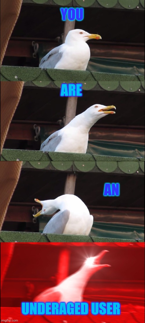 Inhaling Seagull Meme | YOU ARE AN UNDERAGED USER | image tagged in memes,inhaling seagull | made w/ Imgflip meme maker