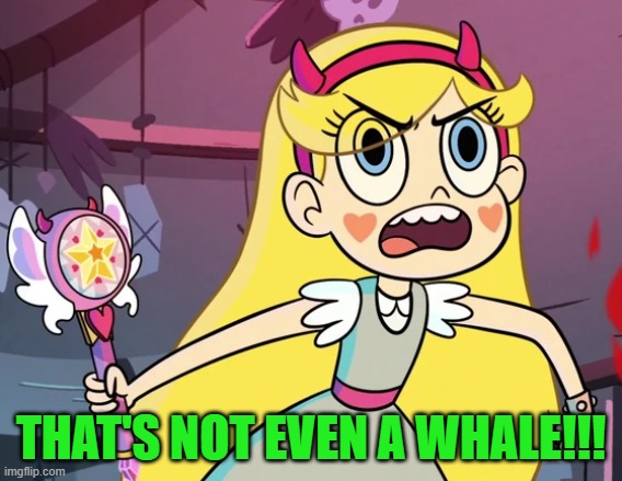 Star 'you don't have to be like this' | THAT'S NOT EVEN A WHALE!!! | image tagged in star 'you don't have to be like this' | made w/ Imgflip meme maker