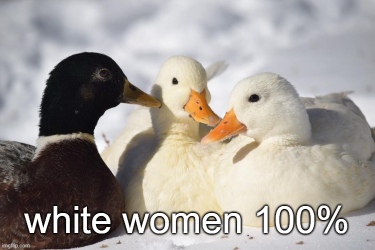 bich ace muthafooka | white women 100% | image tagged in dunkin ducks | made w/ Imgflip meme maker