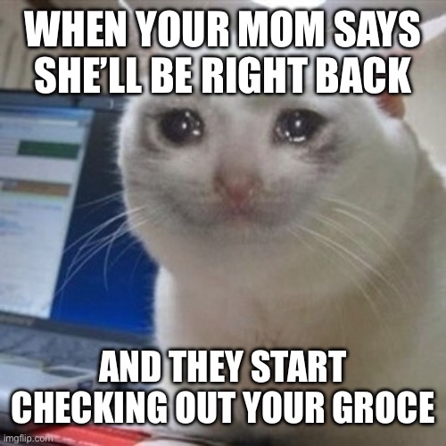 Everybody can relate | WHEN YOUR MOM SAYS SHE’LL BE RIGHT BACK; AND THEY START CHECKING OUT YOUR GROCERIES | image tagged in crying cat | made w/ Imgflip meme maker