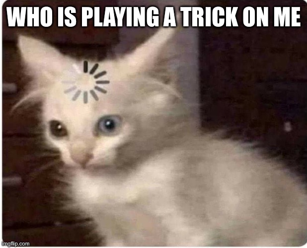 Wot | WHO IS PLAYING A TRICK ON ME | image tagged in hold up what just happened,oh wow are you actually reading these tags | made w/ Imgflip meme maker
