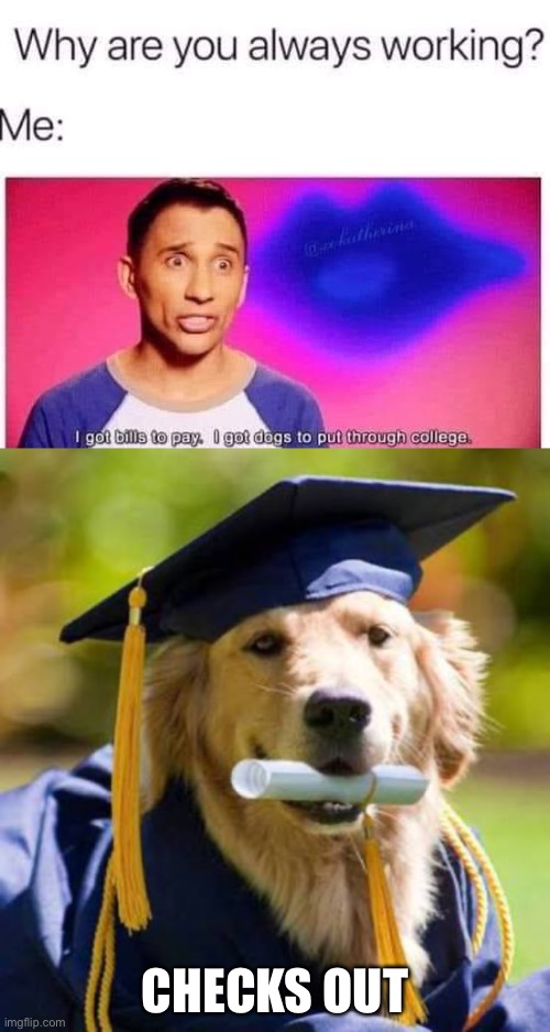Reason to work | CHECKS OUT | image tagged in graduate doggo,work,dogs,college | made w/ Imgflip meme maker