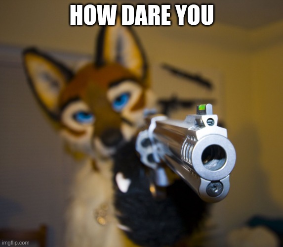 Furry with gun | HOW DARE YOU | image tagged in furry with gun | made w/ Imgflip meme maker