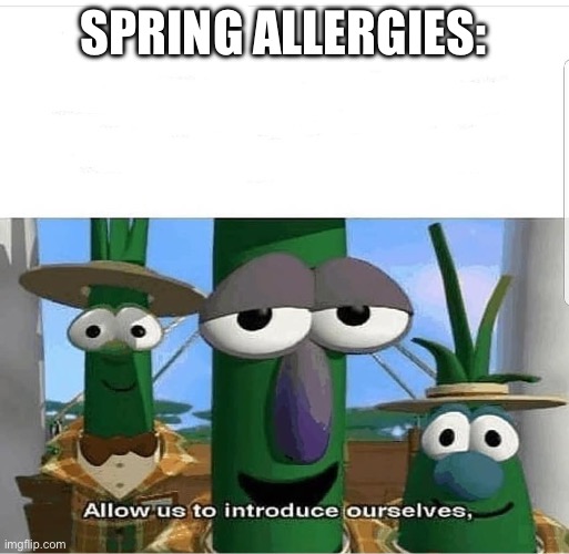 Allow us to introduce ourselves | SPRING ALLERGIES: | image tagged in allow us to introduce ourselves | made w/ Imgflip meme maker