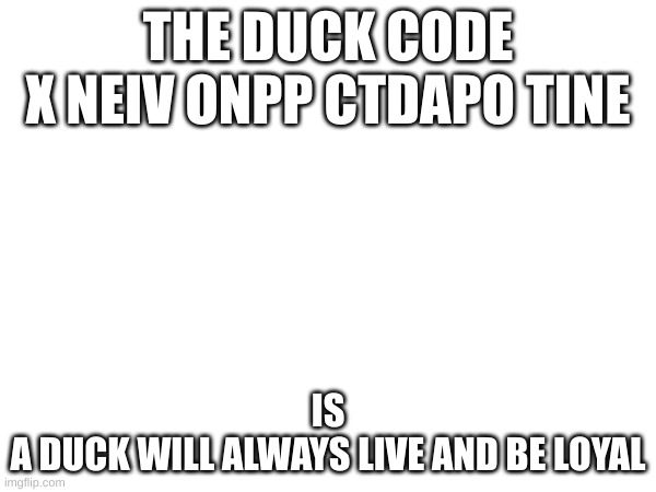 THE DUCK CODE
X NEIV ONPP CTDAPO TINE; IS
A DUCK WILL ALWAYS LIVE AND BE LOYAL | made w/ Imgflip meme maker