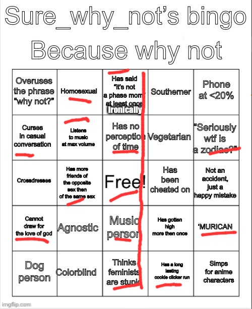 Bingo? | Ironically | image tagged in swn bingo | made w/ Imgflip meme maker