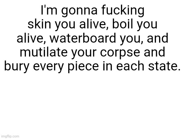 I'm gonna fucking skin you alive, boil you alive, waterboard you, and mutilate your corpse and bury every piece in each state. | made w/ Imgflip meme maker