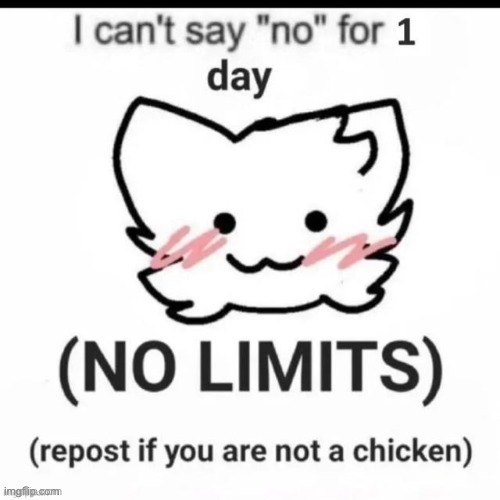 bor | image tagged in i can t say no | made w/ Imgflip meme maker