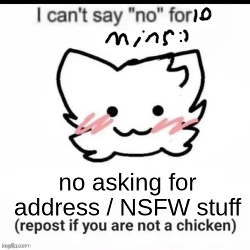 I can’t say no | no asking for address / NSFW stuff | image tagged in i can t say no | made w/ Imgflip meme maker