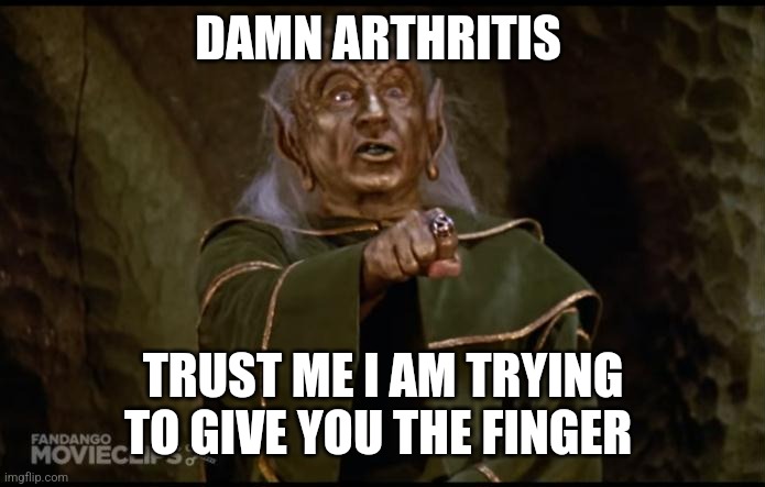 Yogurt Spaceballs | DAMN ARTHRITIS; TRUST ME I AM TRYING TO GIVE YOU THE FINGER | image tagged in yogurt spaceballs | made w/ Imgflip meme maker