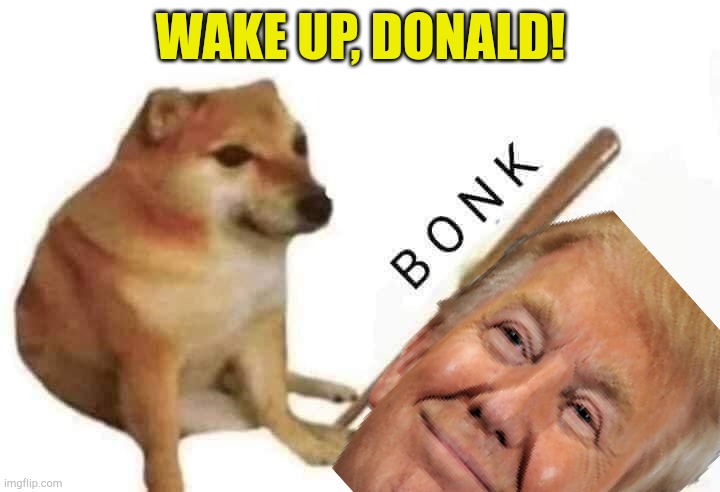 Keep him awake! | WAKE UP, DONALD! | image tagged in doge bonk | made w/ Imgflip meme maker