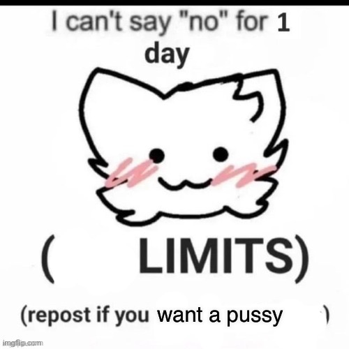 I can’t say no | want a pussy | image tagged in i can t say no | made w/ Imgflip meme maker
