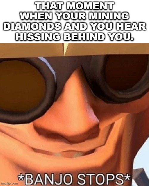 and then you explode.... | THAT MOMENT WHEN YOUR MINING DIAMONDS AND YOU HEAR HISSING BEHIND YOU. | image tagged in banjo stops,minecraft | made w/ Imgflip meme maker