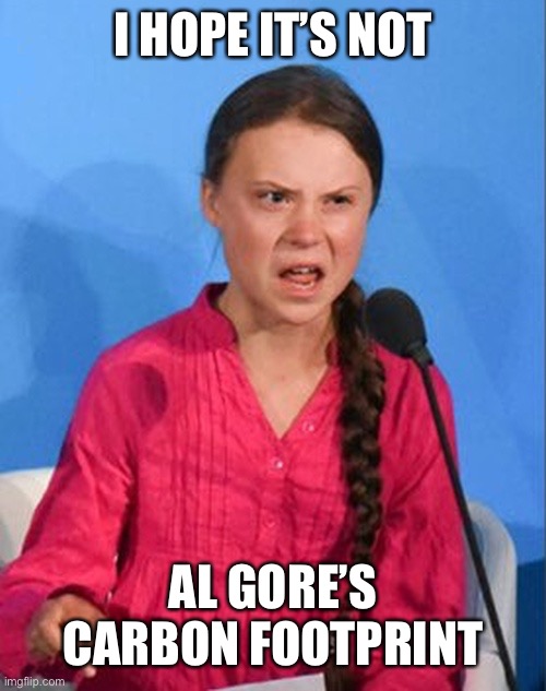 Greta Thunberg how dare you | I HOPE IT’S NOT AL GORE’S CARBON FOOTPRINT | image tagged in greta thunberg how dare you | made w/ Imgflip meme maker