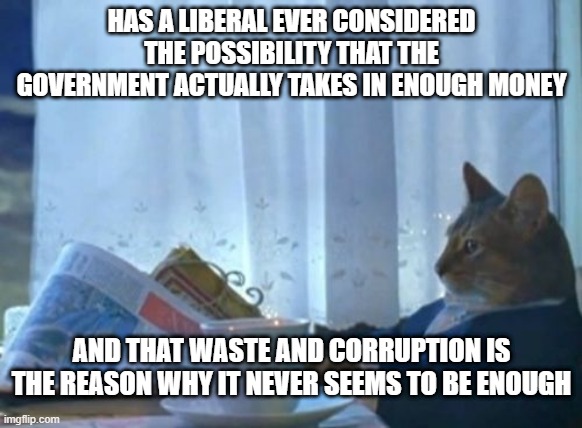 I Should Buy A Boat Cat | HAS A LIBERAL EVER CONSIDERED THE POSSIBILITY THAT THE GOVERNMENT ACTUALLY TAKES IN ENOUGH MONEY; AND THAT WASTE AND CORRUPTION IS THE REASON WHY IT NEVER SEEMS TO BE ENOUGH | image tagged in memes,i should buy a boat cat | made w/ Imgflip meme maker