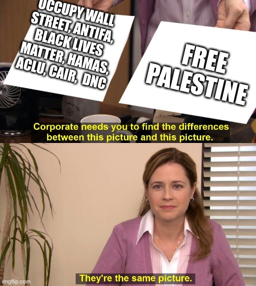 palestine | OCCUPY WALL STREET, ANTIFA, BLACK LIVES MATTER, HAMAS, ACLU, CAIR,  DNC; FREE PALESTINE | image tagged in they are the same picture | made w/ Imgflip meme maker