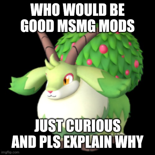 Caprity | WHO WOULD BE GOOD MSMG MODS; JUST CURIOUS AND PLS EXPLAIN WHY | image tagged in caprity | made w/ Imgflip meme maker