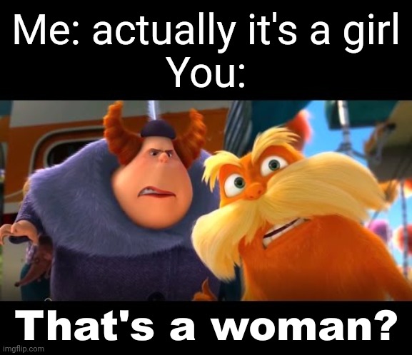That's a Woman | Me: actually it's a girl
You: | image tagged in that's a woman | made w/ Imgflip meme maker