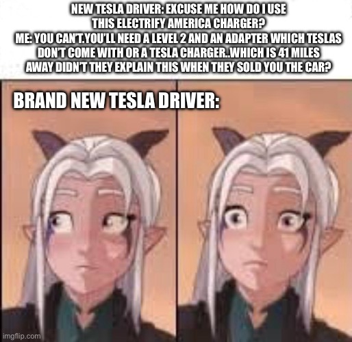 I cannot tell you how many times I’ve had this conversation. | NEW TESLA DRIVER: EXCUSE ME HOW DO I USE THIS ELECTRIFY AMERICA CHARGER?
ME: YOU CAN’T.YOU’LL NEED A LEVEL 2 AND AN ADAPTER WHICH TESLAS DON’T COME WITH OR A TESLA CHARGER..WHICH IS 41 MILES AWAY DIDN’T THEY EXPLAIN THIS WHEN THEY SOLD YOU THE CAR? BRAND NEW TESLA DRIVER: | image tagged in uh oh rayla,tesla_slander,oh no,tesla,cars,screwed | made w/ Imgflip meme maker